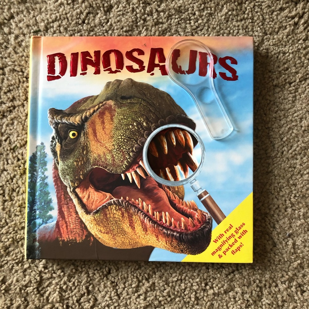 Dinosaurs Octagonal Box Set